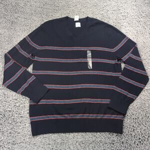 Gap Sweater Men Large Blue V Neck Normcore Long Sleeve Preppy Striped Casual